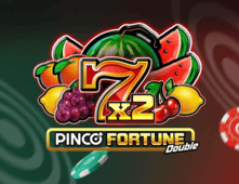 Pinco Fortune